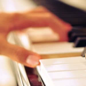 欧美人与动另类XXXX
