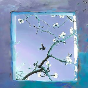 芭乐视频网页版
