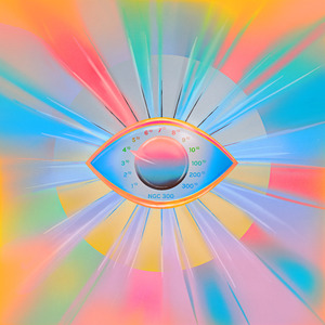 五月丁香六月综合缴清无码
