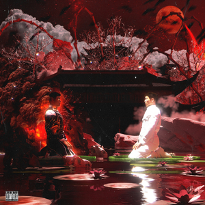 铁粉空间网页登录入口
