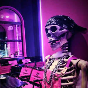 男男纯肉Gay无码视频
