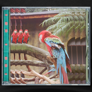 调教日本嫩模打屁股
