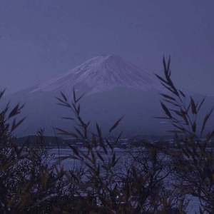 男生插女生阴道的网站
