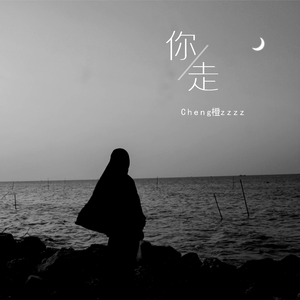 国产精品片在线观看无码
