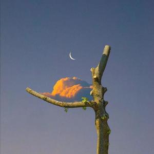 极品粉嫩小仙女小穴69XX
