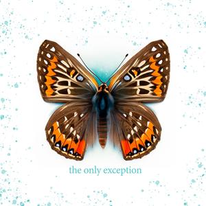 老妇的肥唇又黑又粗又长
