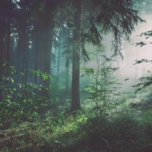 三级插逼合集视频
