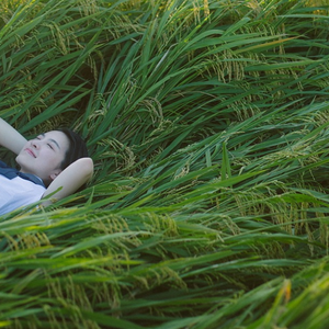 免费黄色app大全
