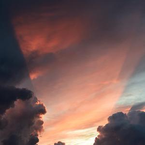 欧美人与动另类XXXX
