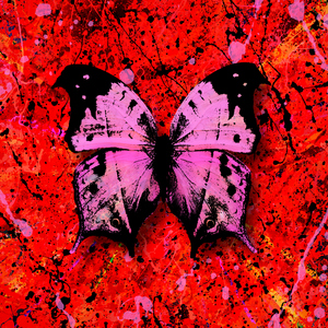 斯嘉丽裸被❌视频
