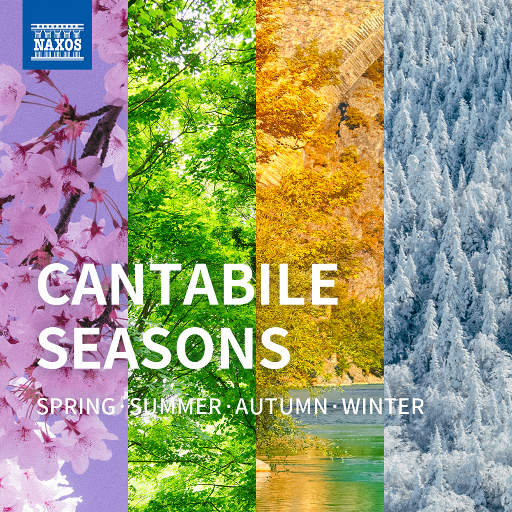 全球禁播无删减裸体时装网站
